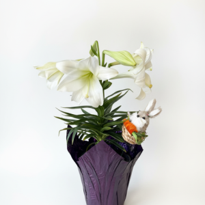 Easter Lily